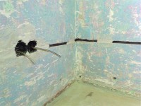 /album/rodinny-dom-c-3-2015/a14-jpg2/